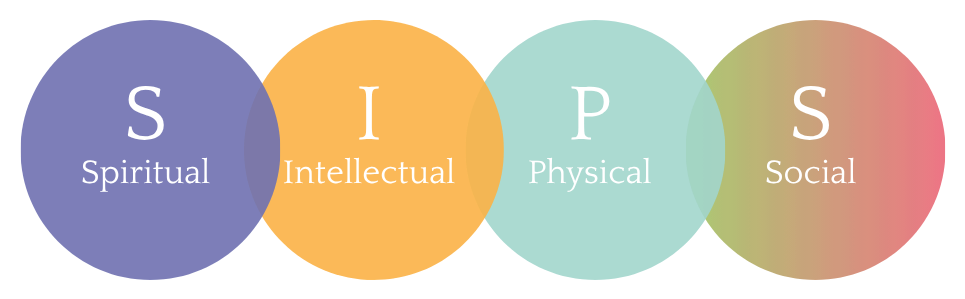 Four overlapping circles: spiritual, intellectual, physical, social